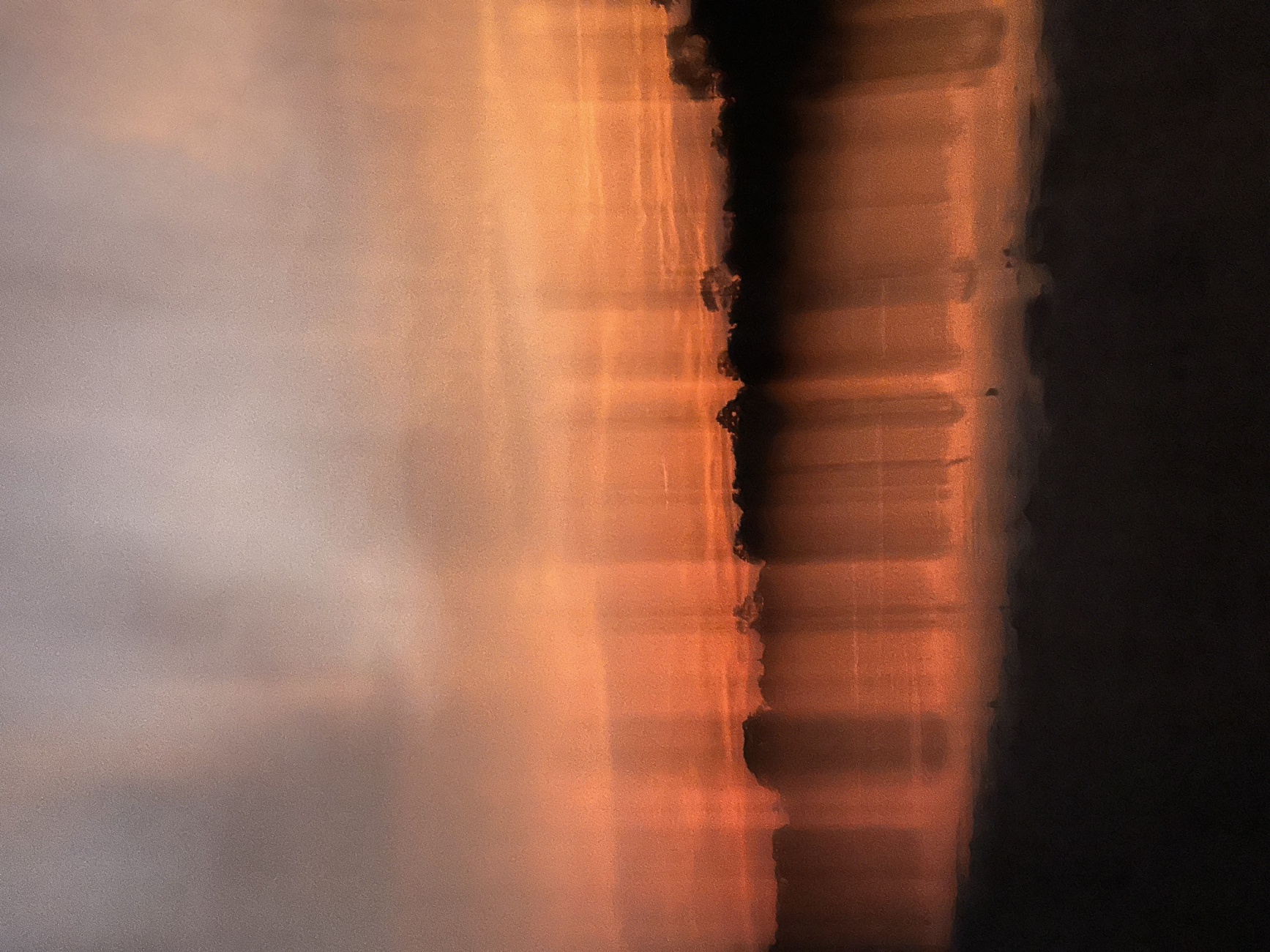 Stewardship across the Amazon