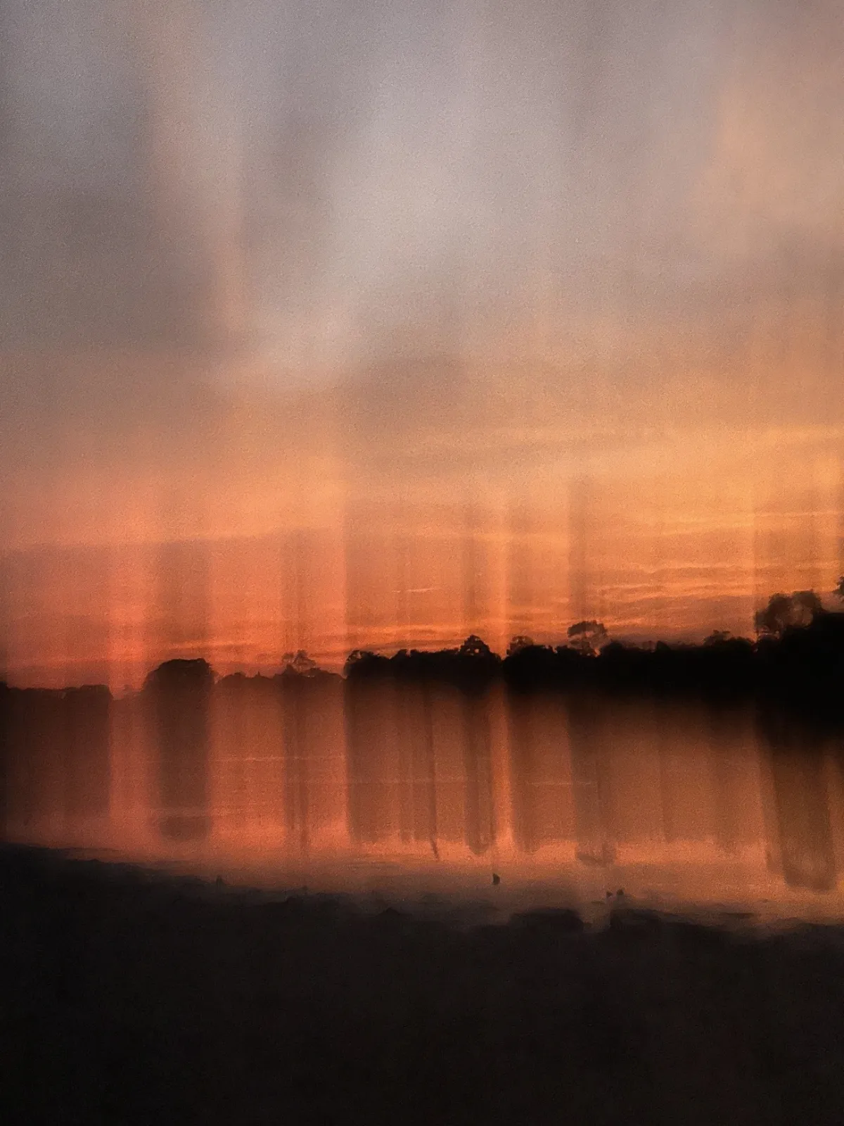 Stewardship across the Amazon